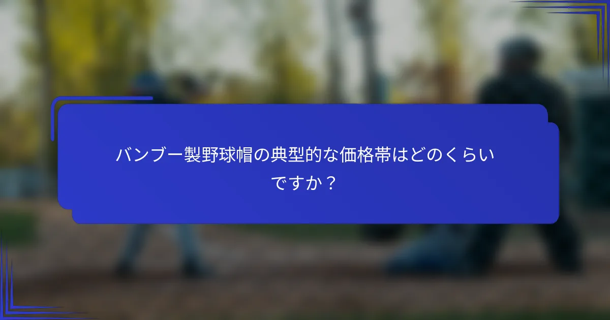 バンブー製野球帽の典型的な価格帯はどのくらいですか?