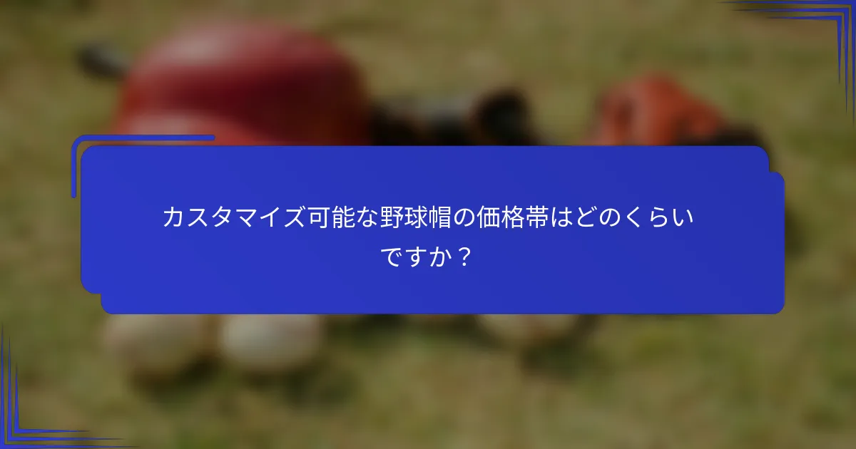 カスタマイズ可能な野球帽の価格帯はどのくらいですか?