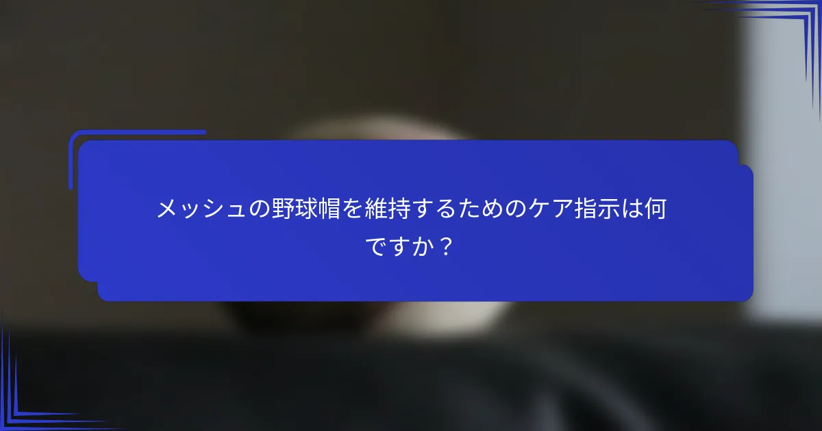 メッシュの野球帽を維持するためのケア指示は何ですか？